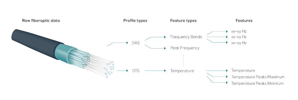 An illustration of the different profile and feature types and features that are extracted from raw fiberoptic data